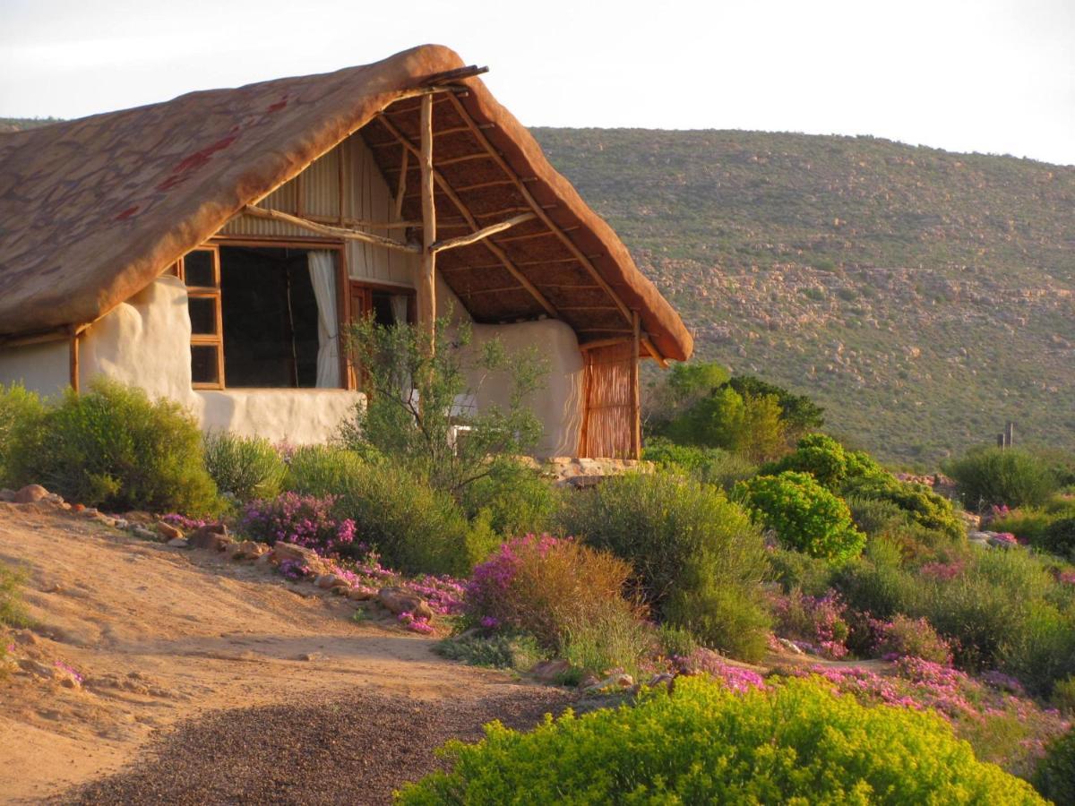 Oudrif Farm Villa Clanwilliam Exterior photo