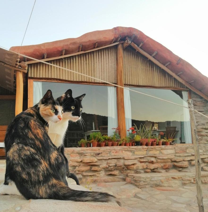 Oudrif Farm Villa Clanwilliam Exterior photo